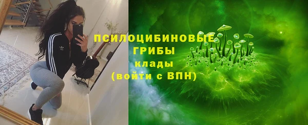 сатива Вязники