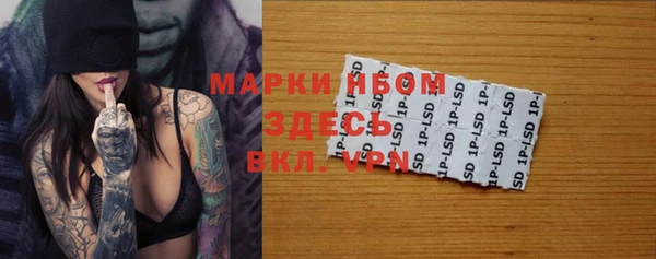 сатива Вязники