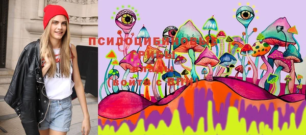 сатива Вязники