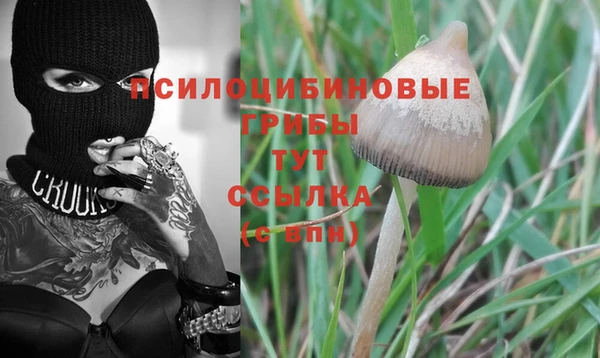 стафф Вязьма