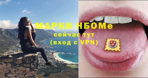 стафф Вязьма