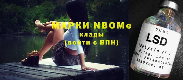 стафф Вязьма